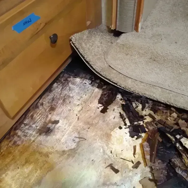 Best Wood Floor Water Damage Service in Huntersville, NC